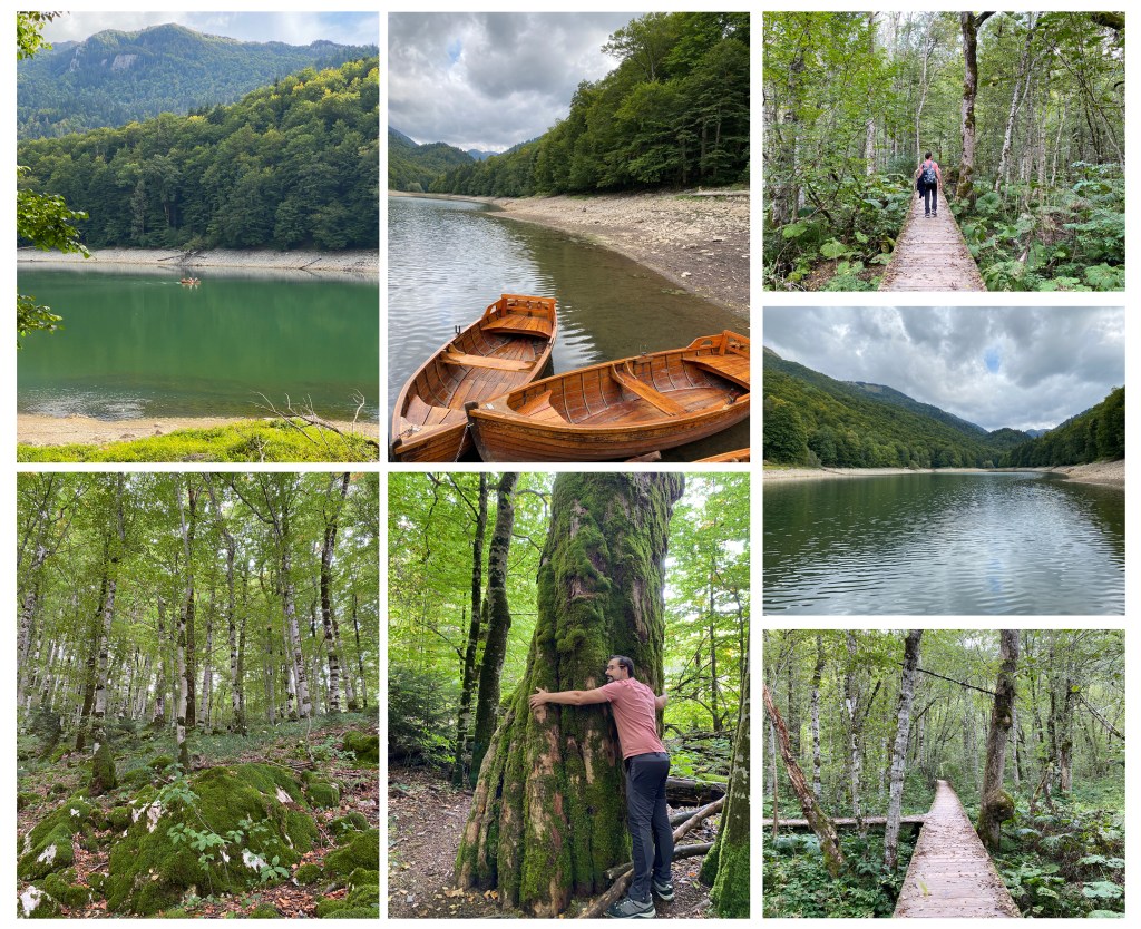 Biogradsko jezero Monténégro